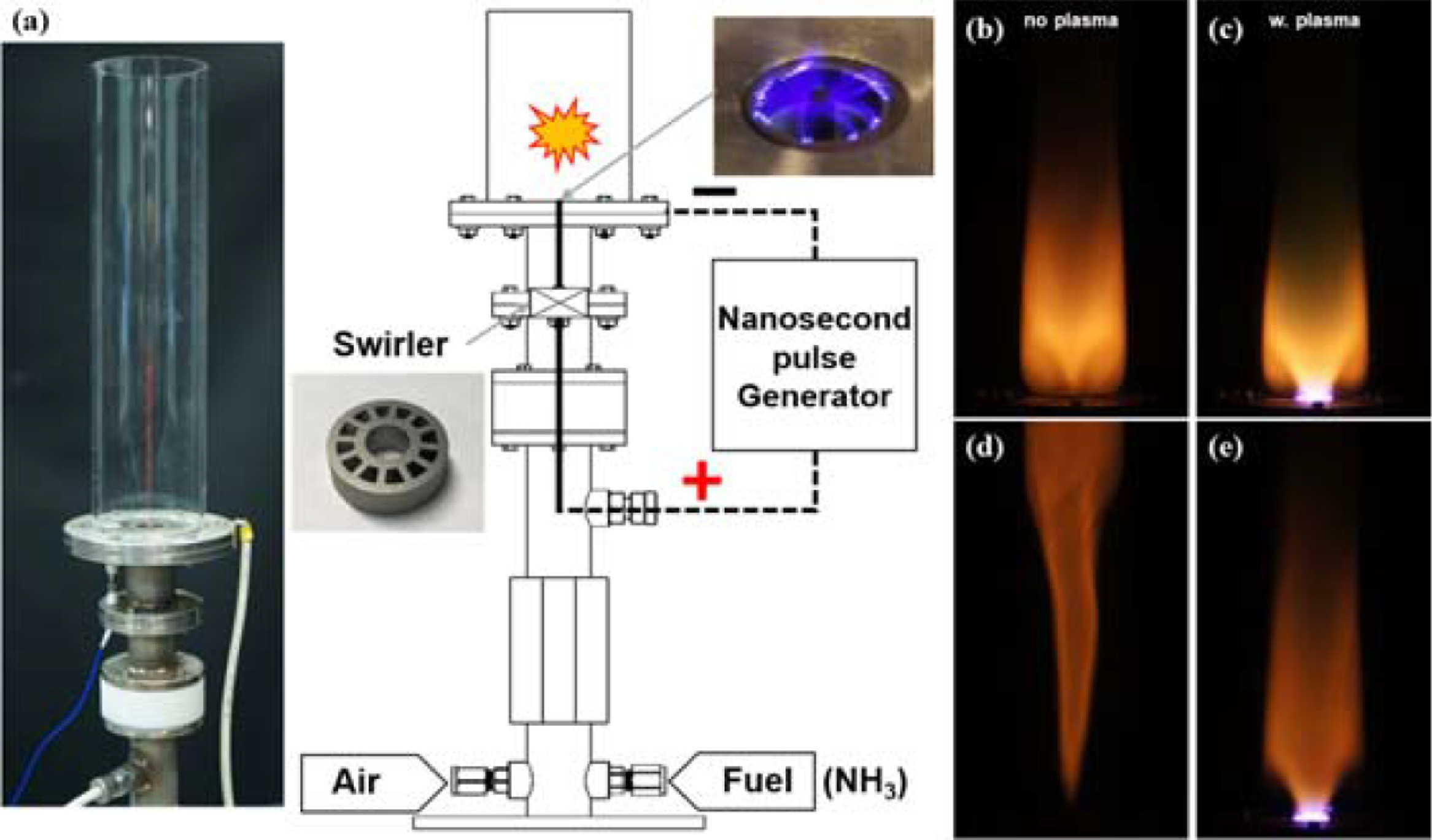Plasma assisted ammonia combustion